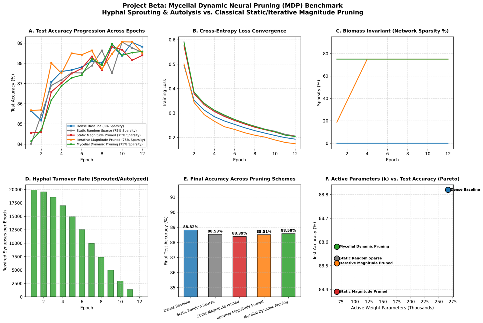 Mycelial Pruning Benchmark